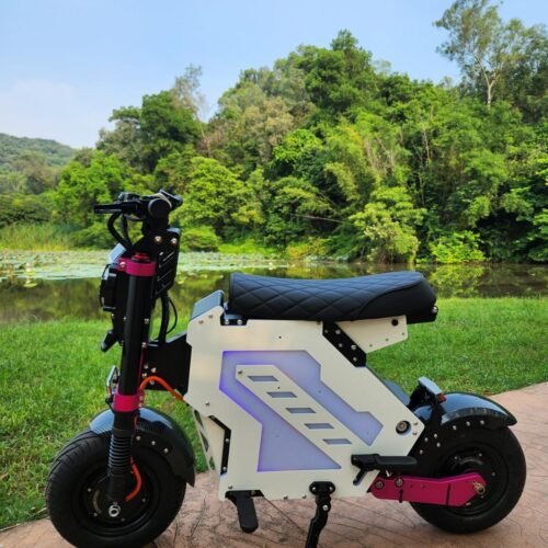 Molo 5 PRO MAX Electric Bike