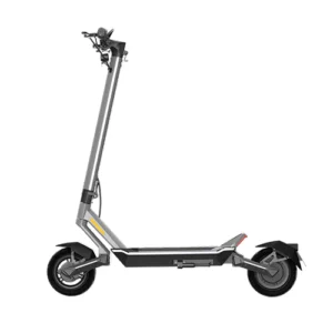 Punk Rider Electric Scooter