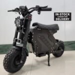 ESHINER Molo 5 Electric Scooter