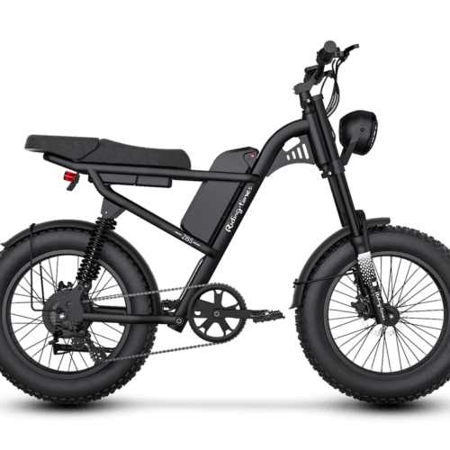 Z8 Electric Bike