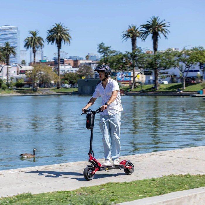 Kaabo Mantis 10 Lite Electric Scooter - Image 16
