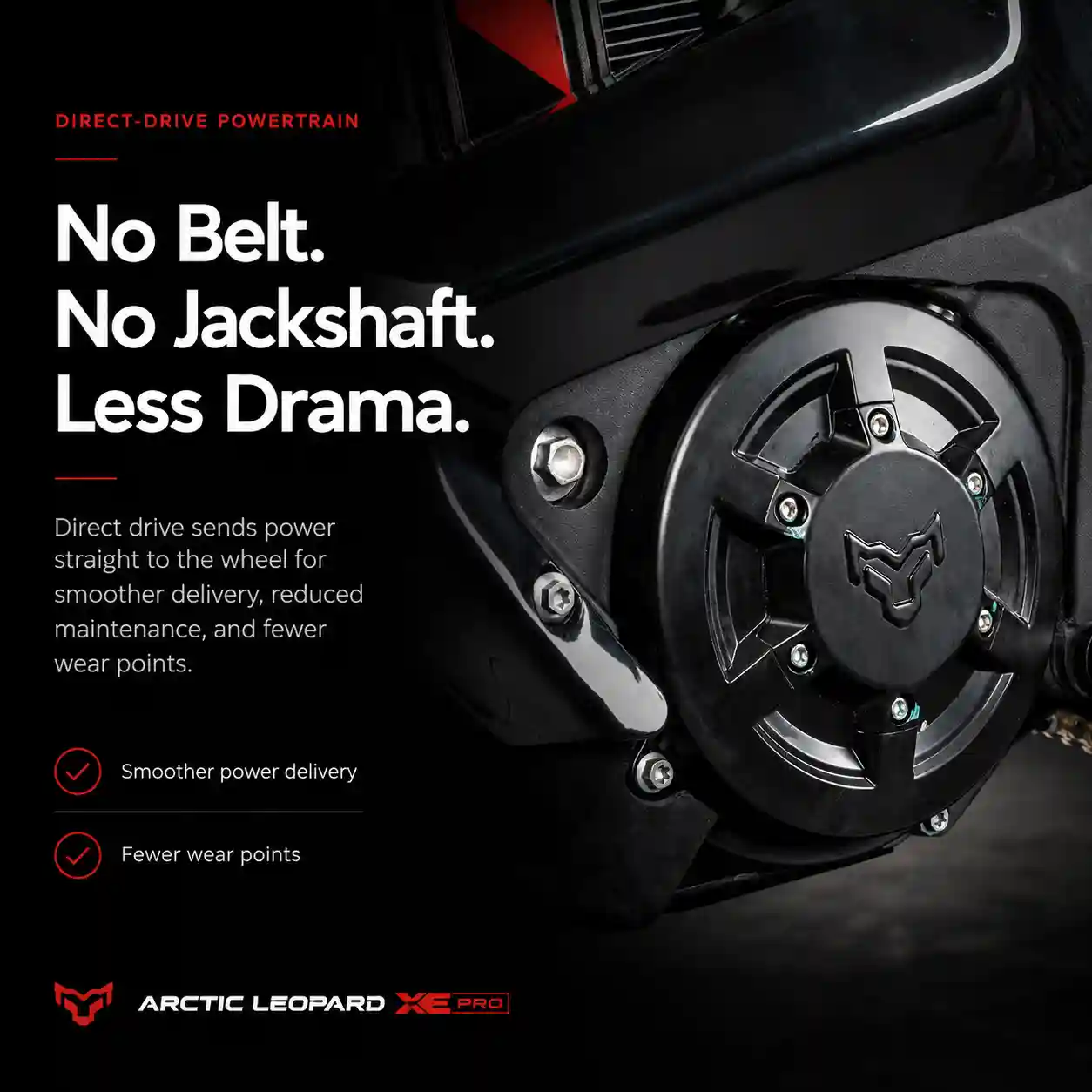 Arctic Leopard XE Pro R Electric Dirt Bike - Image 8