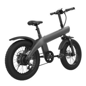 Q3 750W electric bike, right side profile showing rear hub motor and LCD display