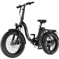 Hiboy EX6F Foldable Low-Step Electric Bike Black