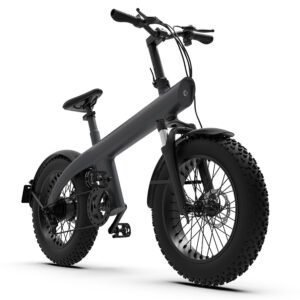 Q3 electric bike, front three-quarter view showing hydraulic disc brakes