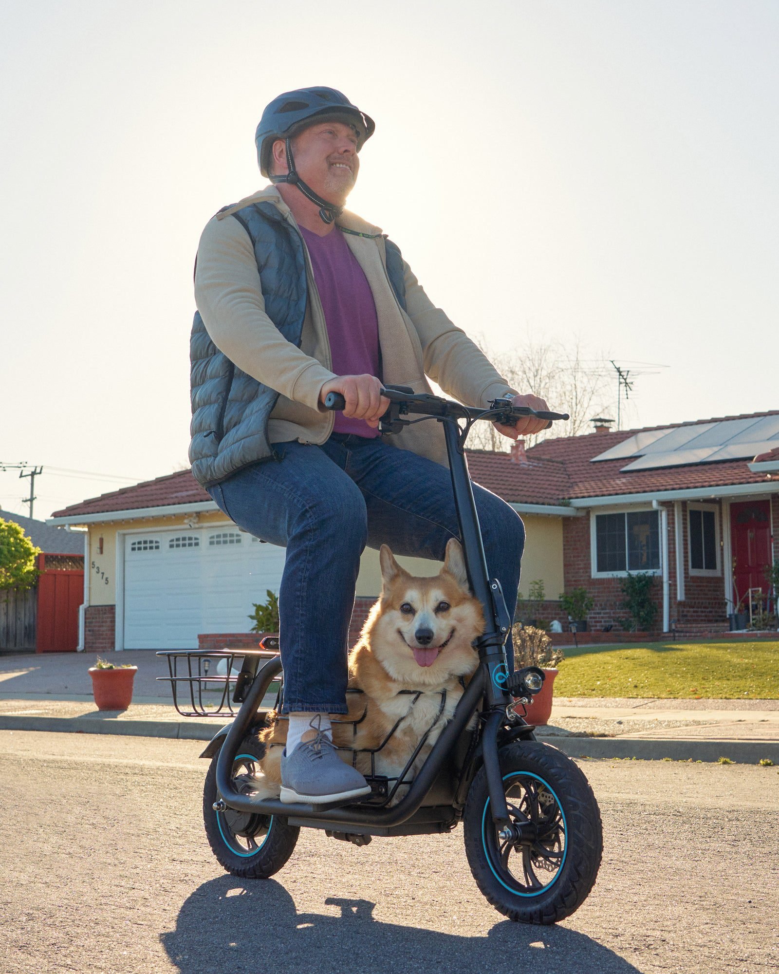 Rider with a corgi in the middle basket