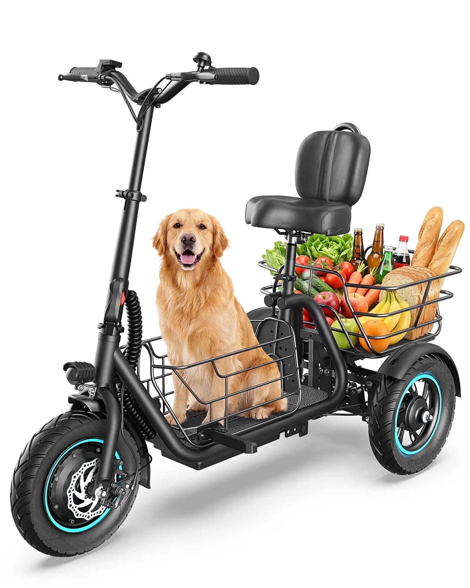 Dog in the front basket and groceries in the rear basket
