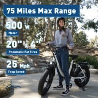 Hiboy EX6 Step-Thru Fat Tire Electric Bike, photo 2