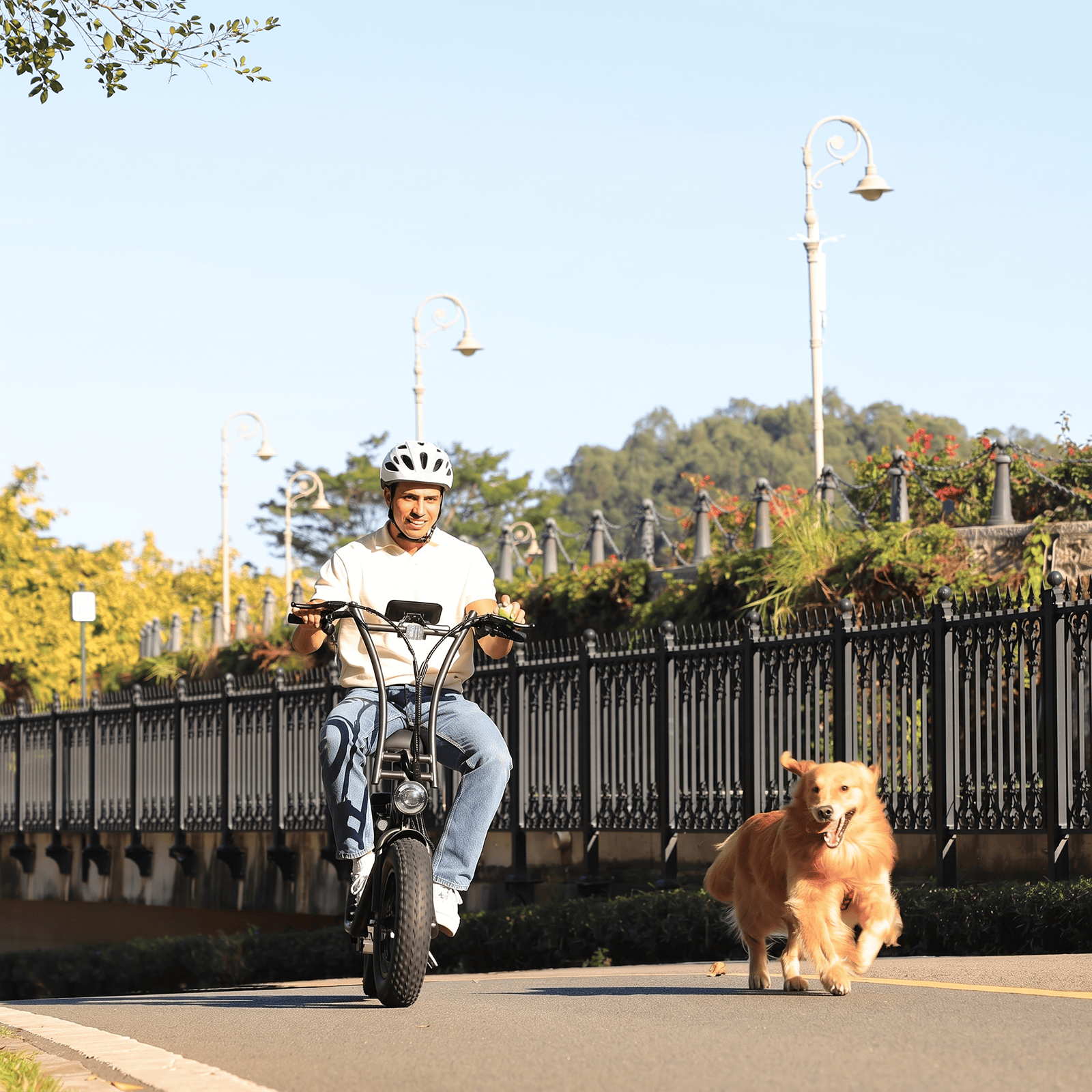 Hiboy U2 Pro Electric Scooter with 16" Fat Tires feature banner 1