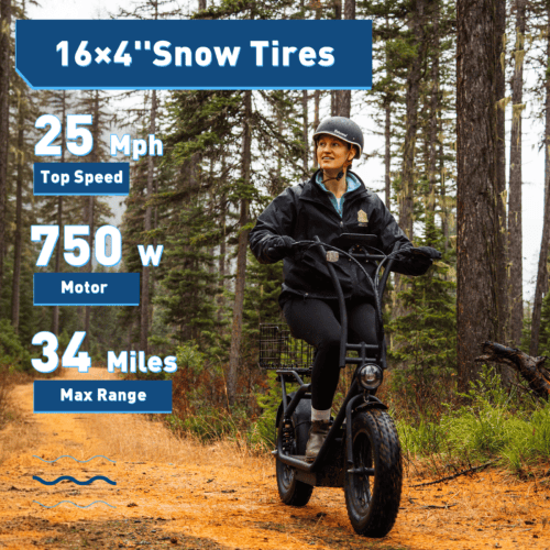 Hiboy U2 Pro Electric Scooter with 16" Fat Tires, photo 2