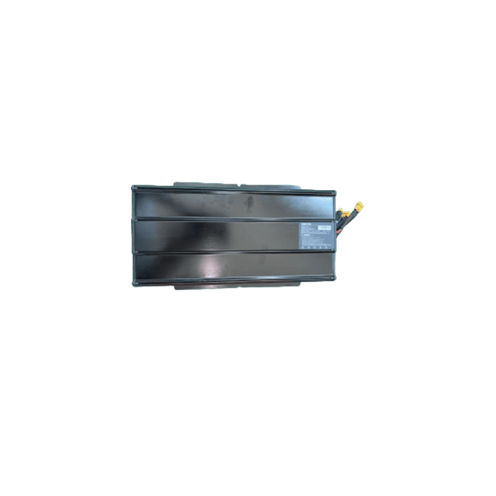 INMOTION RS-lite Battery