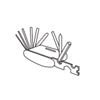 Combination wrench