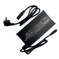 JOYOR S10-S-Z 60V 5A Fast Charger, US/EU Plug Options, photo 2