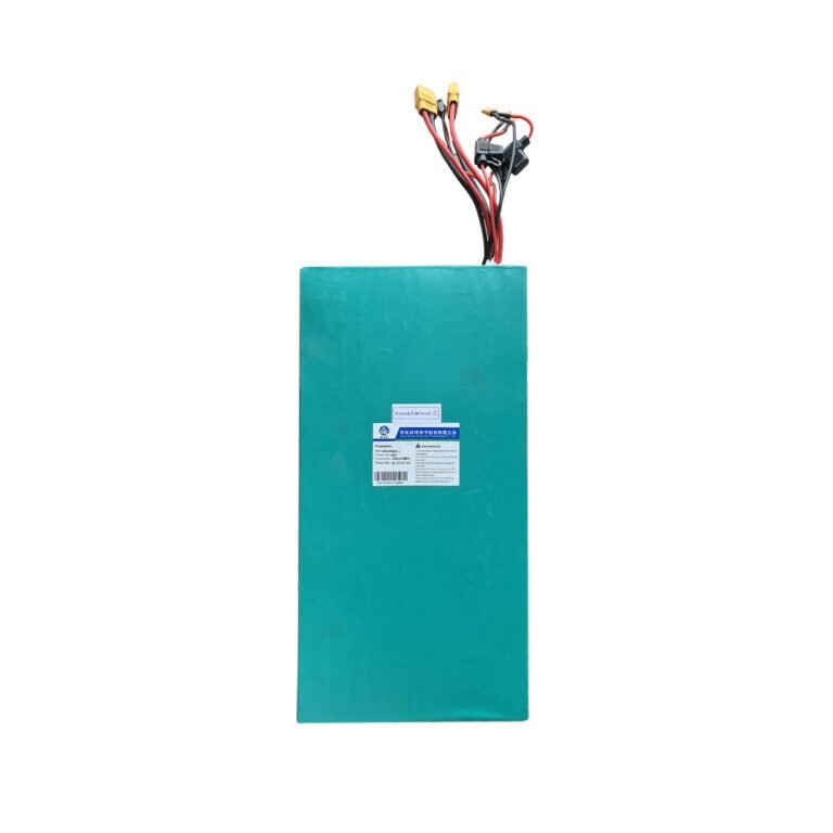NANROBOT LS7+ 60V Replacement Battery