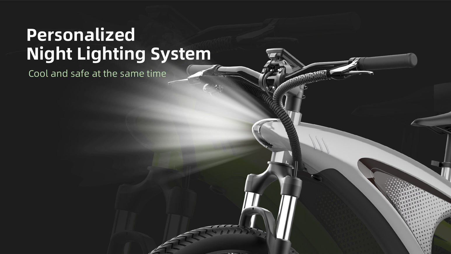 NANROBOT Q5 electric bike, hd lcd display