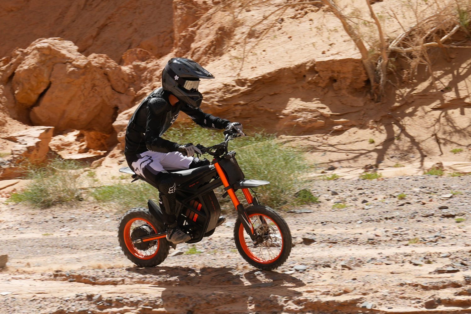 Riding'times GT54 Safety Edition electric dirt bike, 750 w power, 15 mph top speed