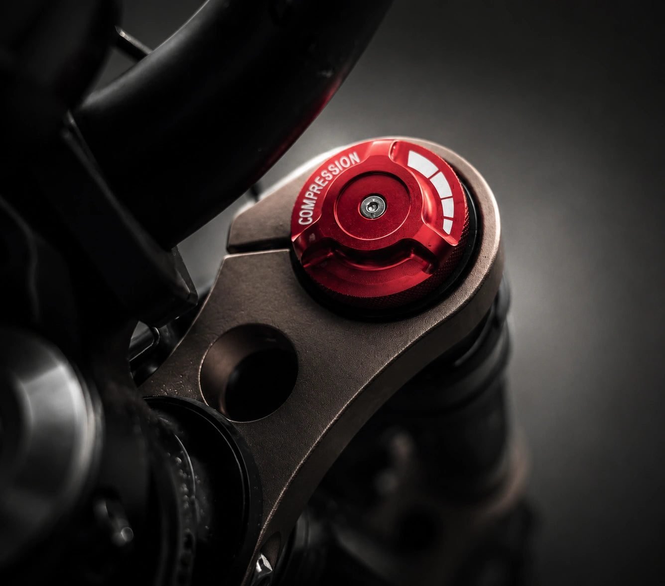 Adjustable front suspension