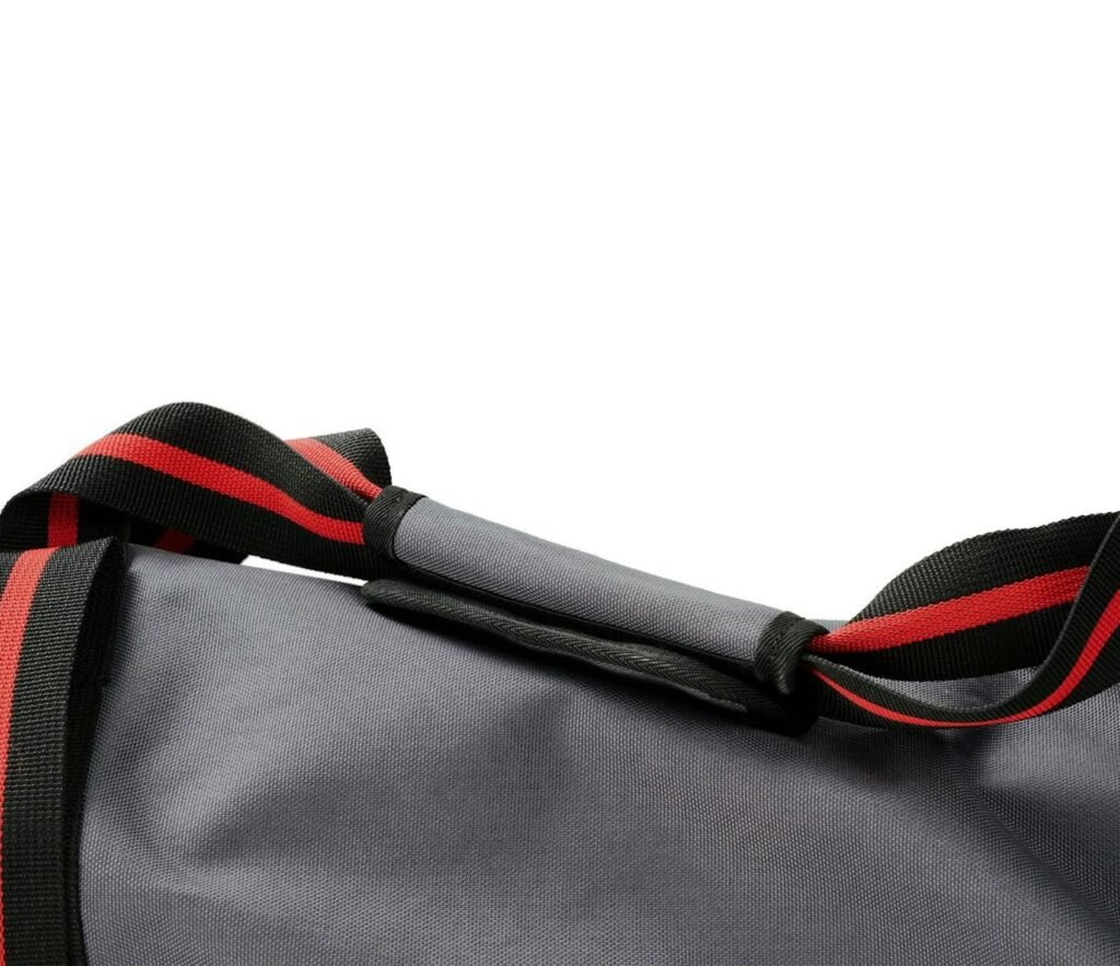 Segway Electric Scooter Carry Bag, photo 3