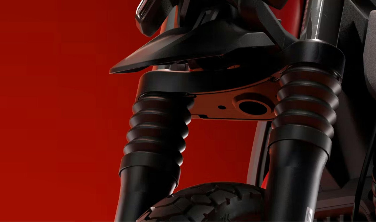 Protective bellows on the front forks