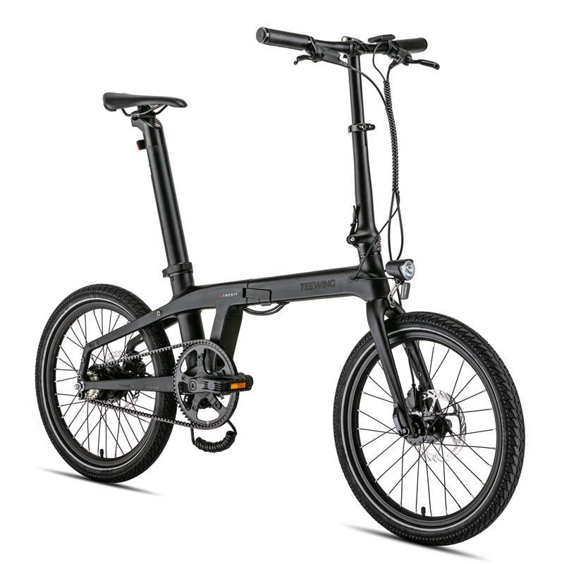 Teewing T20 carbon frame and fork