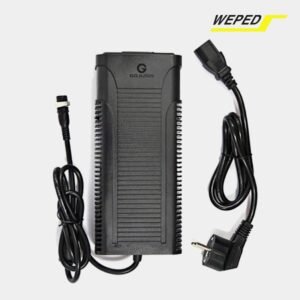 WEPED 60V 3.5A Rapid Charger