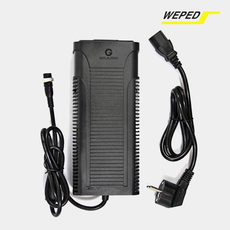 WEPED 60V 3.5A Rapid Charger