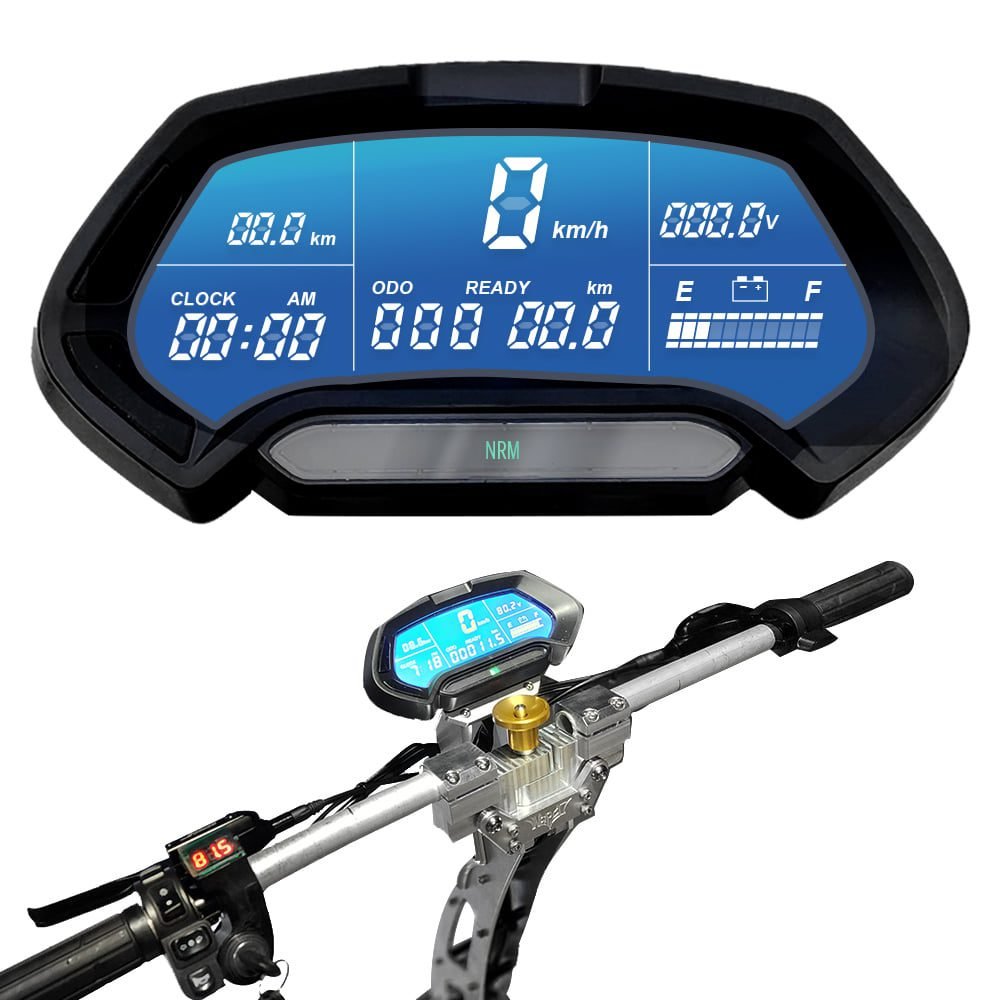 WEPED Sonic X display